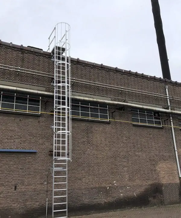 BN international 8 1