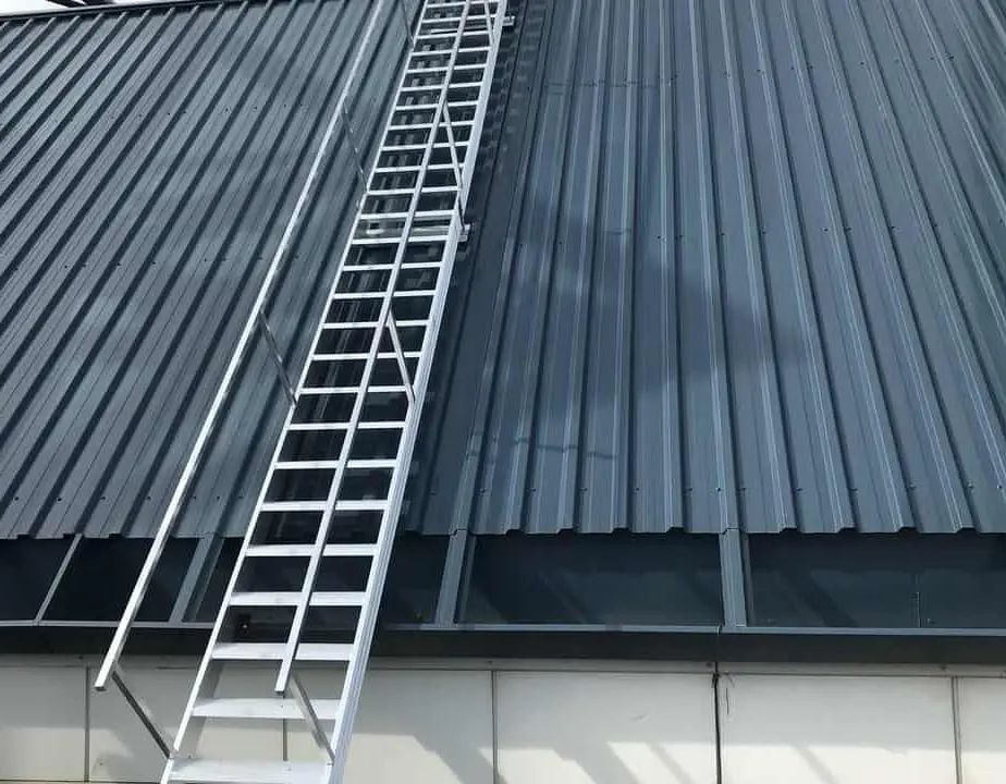 IMG 3090 1 e1633606462228