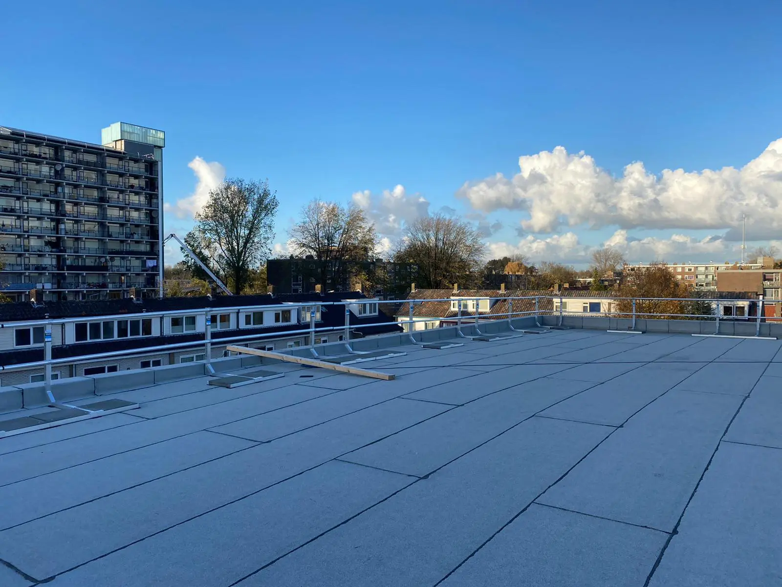 PHOTO 2020 11 04 16 19 32 1